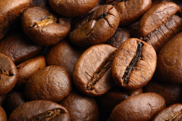 Similar image 1722713