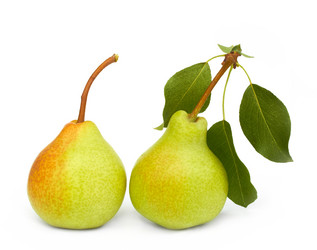 Similar image 1722715