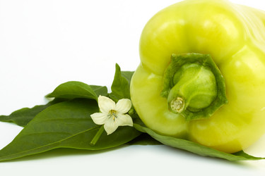 Similar image 1722718