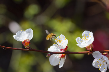 Similar image 1722764