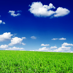 Similar image 1722770