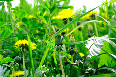 Similar image 1722772