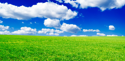 Similar image 1722774