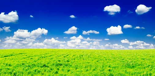 Similar image 1722778