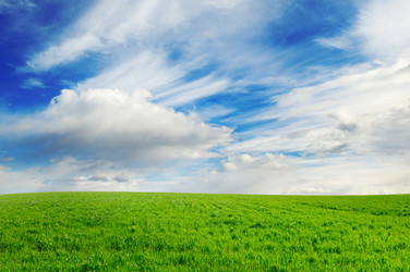 Similar image 1722784