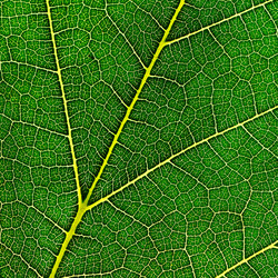 Similar image 1722790