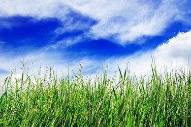 Similar image 1722792