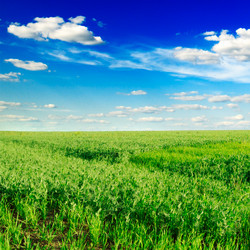 Similar image 1722823