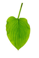 Similar image 1722826