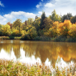 Similar image 1722827