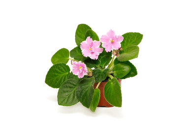 Similar image 1722843