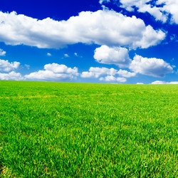 Similar image 1722850