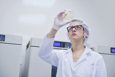 Similar image 1723145