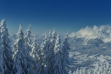 Similar image 1723176