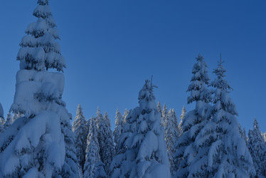 Similar image 1723182