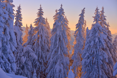 Similar image 1723193