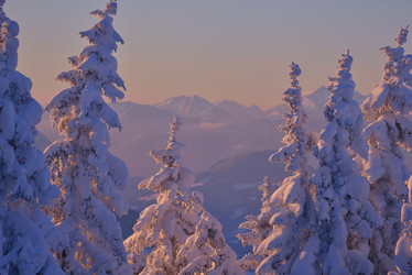 Similar image 1723208