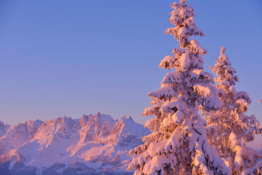 Similar image 1723216