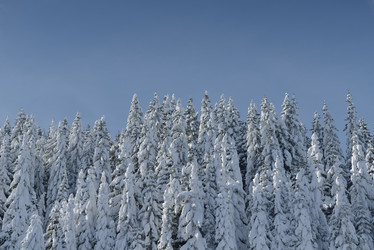 Similar image 1723218