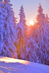 Similar image 1723221