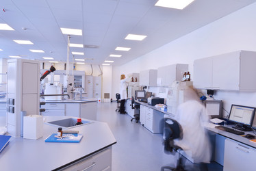 Similar image 1723245