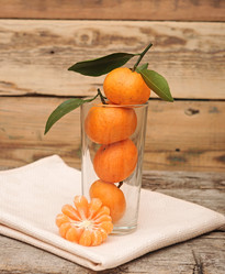 Similar image 1723372