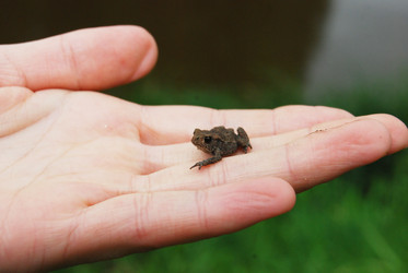 Similar image 1723469