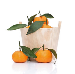 Similar image 1723503