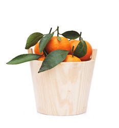 Similar image 1723504