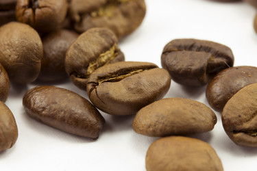 Similar image 1723523