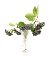 Similar image 1723592