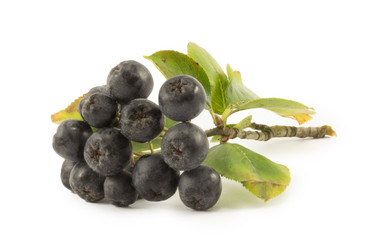 Similar image 1723599