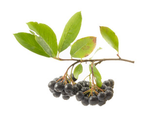 Similar image 1723612