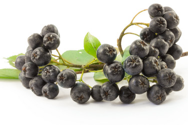 Similar image 1723615