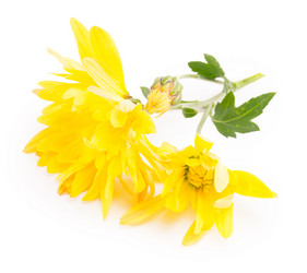 Similar image 1723700