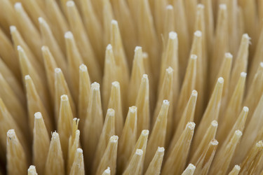 Similar image 1723786