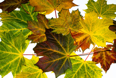 Similar image 1723821