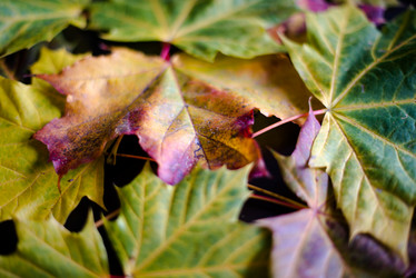 Similar image 1723823