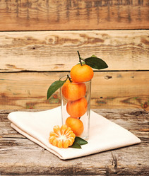 Similar image 1724031