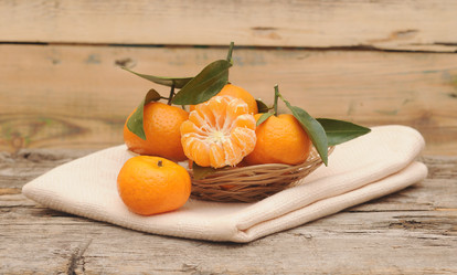 Similar image 1724032