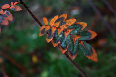 Similar image 1724045