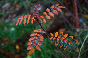 Similar image 1724046