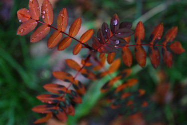 Similar image 1724047