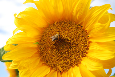 Similar image 1724060