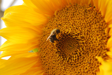 Similar image 1724061