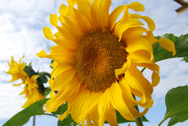 Similar image 1724062