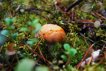 Similar image 1724065