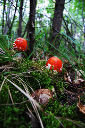 Similar image 1724066