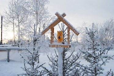 Similar image 1724067