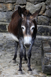 Similar image 1725232